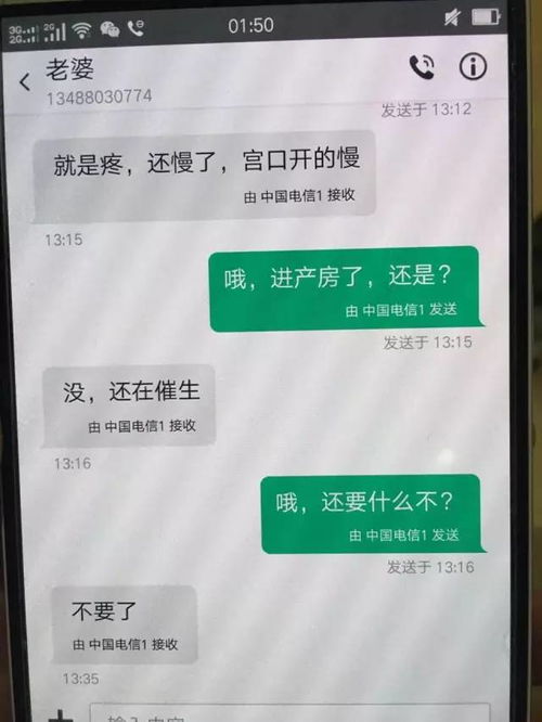 揭秘真相，如何查看已删除的手机短信与聊天记录？案例解析与实用指南