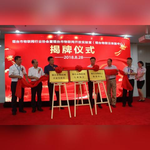 办理POS机攻略，轻松搞定本地业务需求