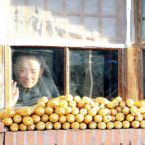 POS机办理年龄限制的真相与影响