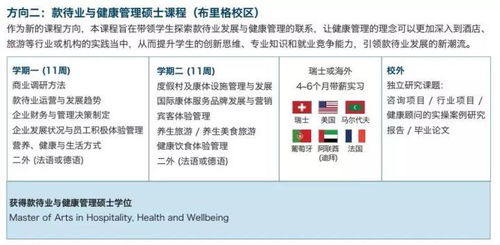 揭秘酒店入住记录查询，七天内的详细指南与案例解析