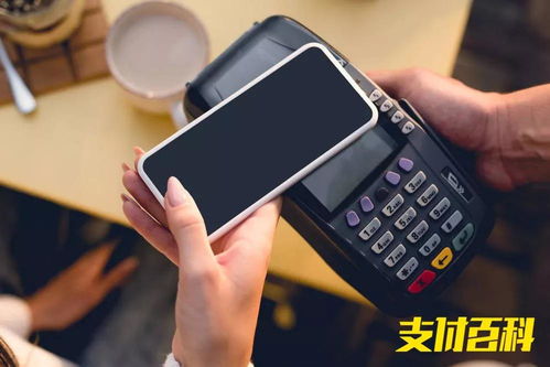 星支付POS机办理指南，轻松掌握，高效使用