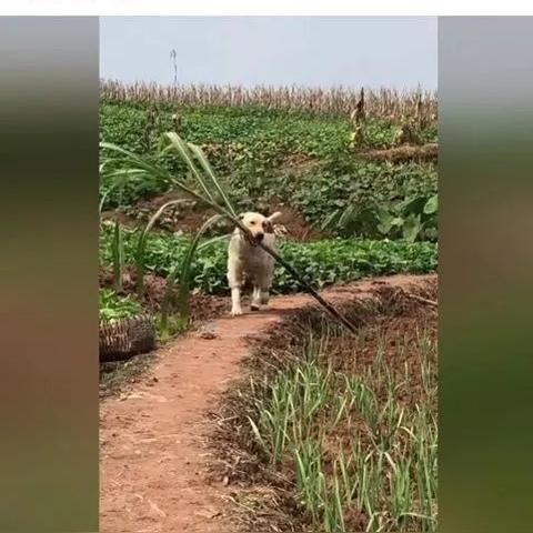 如何查询酒店开房记录？揭秘正规渠道与风险防范指南