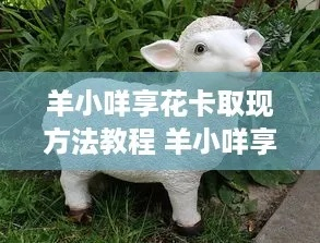 羊小咩享花卡套出攻略，靠谱操作与注意事项