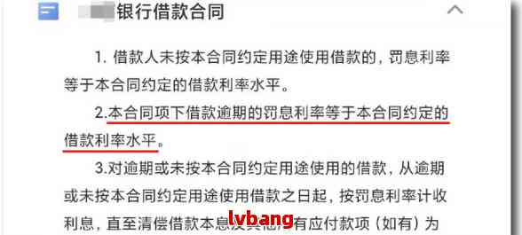 白条追债指南，如何安全可靠地套出欠款？5大渠道+3个避坑技巧全解析