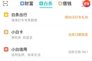 关于白条付款套出来码的详解