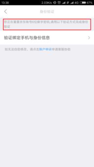 关于白条付款套出来码的详解