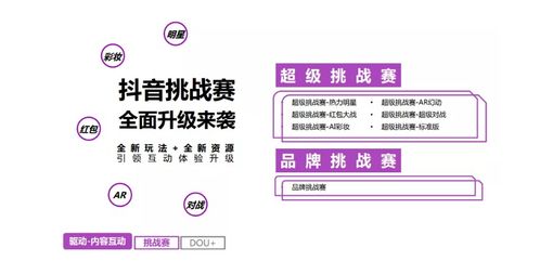 孝感抖音月付提现全解析，操作指南、注意事项与案例分析