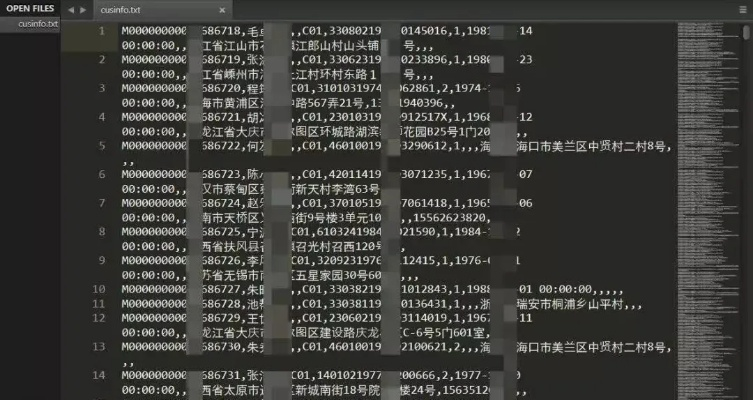 揭秘查酒店开房记录软件，真相、风险与应对之策