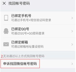 忘记密码后如何查看聊天记录，轻松找回你的重要信息