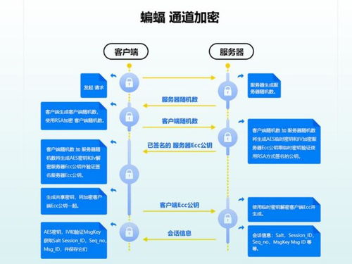 全国查开房记录软件全解析，合法途径、风险提示与实用技巧