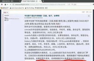 查酒店开房记录全攻略，合法途径、操作技巧与注意事项