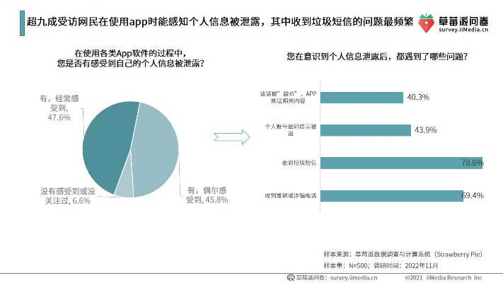 揭秘在线查开房网站，隐私安全与法律边界