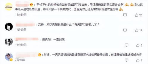 查开房网，背后的真相与注意事项，一篇说透所有细节