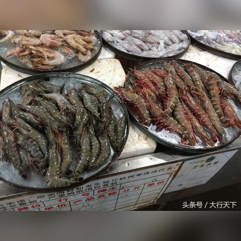 做任务钱提不出来怎么办