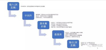 正规黑客服务指南，如何合法获取安全防护与漏洞修复服务？