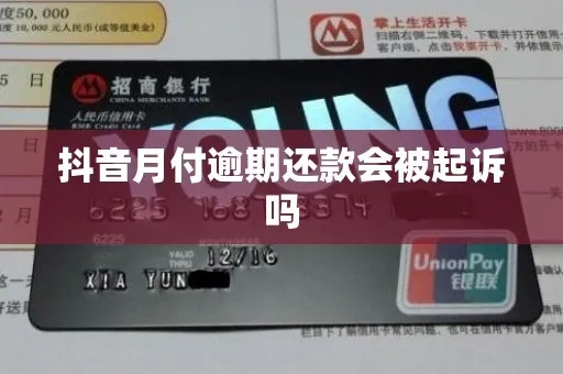 武汉抖音月付套现引发风波，被起诉背后的故事与教训