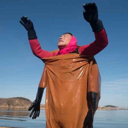 长海县白条取现详解，流程、要点与实例分析