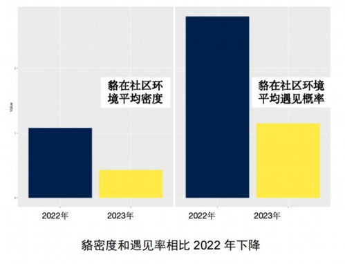 身份证住宿记录查询，揭秘个人信息保护与权益保障