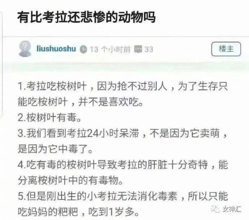 怎么查男友住的酒店记录？实用方法与案例详解