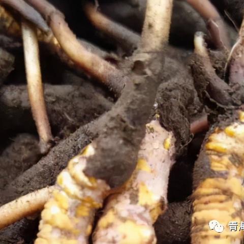 揭秘微信聊天记录删除之谜，谁能查，怎么查？