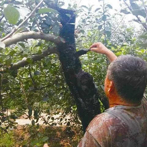 得物佳物分期额度大揭秘，30万限制额度如何使用？