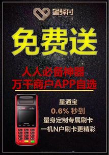 星通宝大POS机办理指南