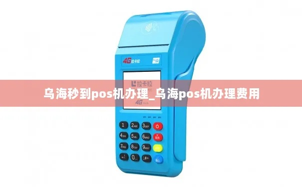 乌海秒到POS机办理全攻略