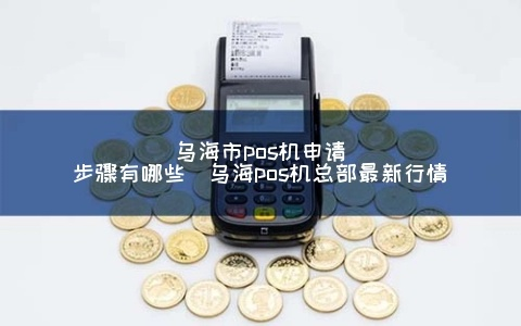 乌海秒到POS机办理全攻略