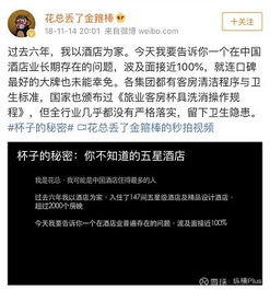 公安局能否查酒店入住记录？探究背后的真相与细节