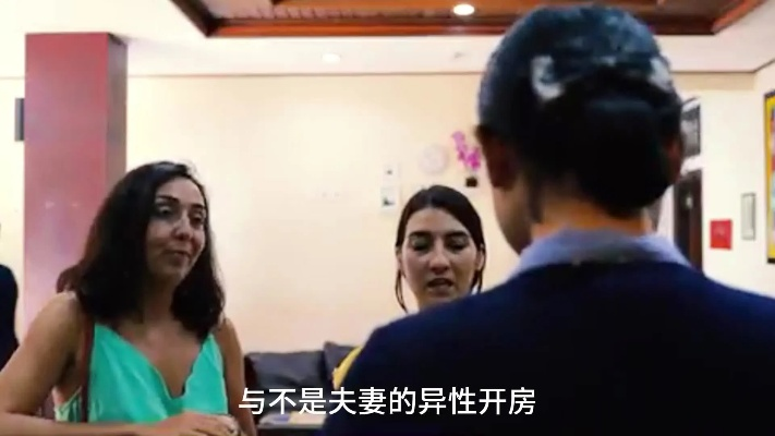 查开房我帮你2015，揭秘开房查询背后的故事与真相