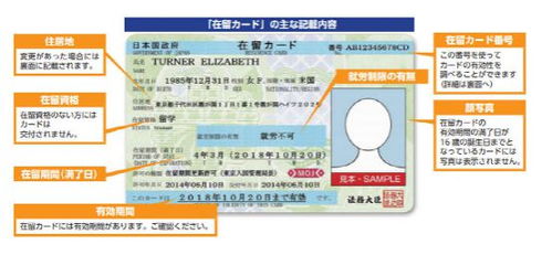 酒店入住查询记录全解析，从如何查询到注意事项，一篇说清楚！