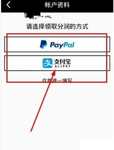 白条怎么挂账提现到？一文全明白