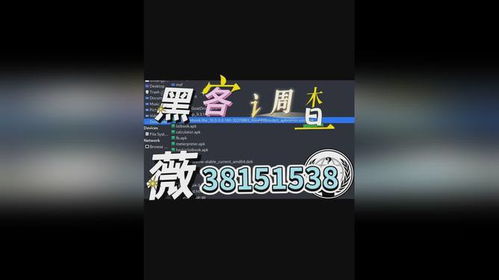 黑客24小时在线接单网站概览