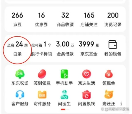 京东白条使用全攻略，如何开通、消费、还款及常见问题解答