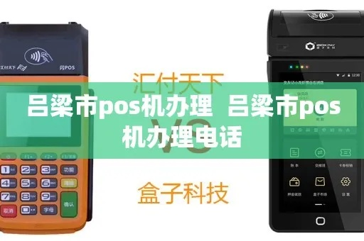 吕梁闪电宝POS机办理全攻略