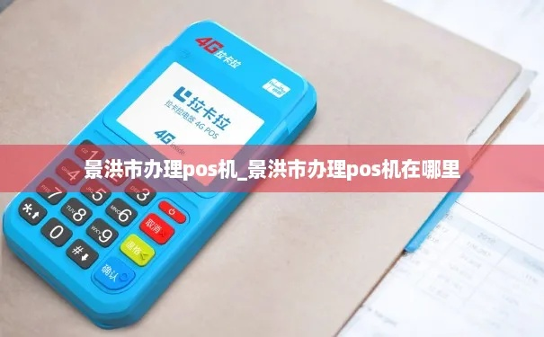 景洪市POS机办理指南