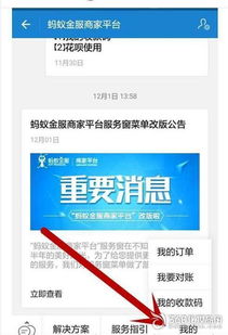 支付宝办理POS机，便捷支付，轻松管理