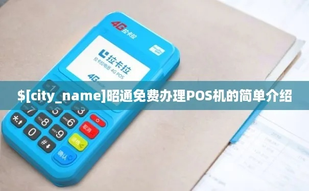 昭通市POS机办理概览