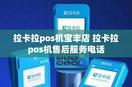 宝丰县POS机办理全攻略